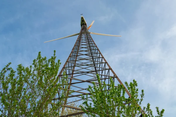 Ветряная Мельница Зеленые Ветви Против Голубого Неба Sunshin — стоковое фото