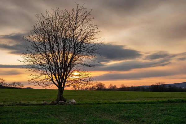 Paisaje Rural Sol Alemania — Foto de Stock