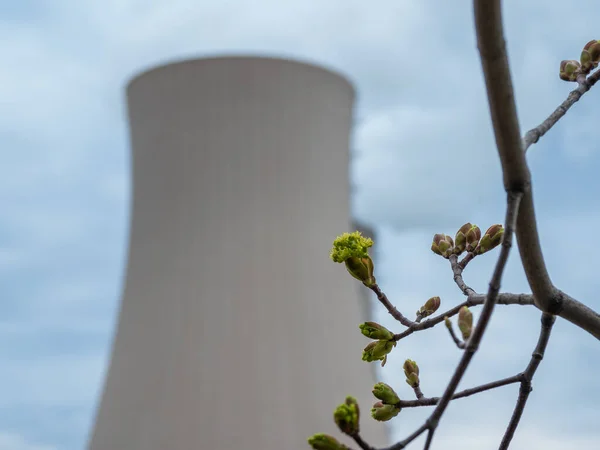 Branche Avec Feuilles Vertes Contre Plan Nucléaire — Photo