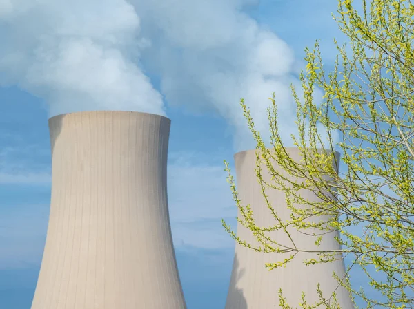 Filial Com Folhas Verdes Contra Plano Energia Nuclear — Fotografia de Stock