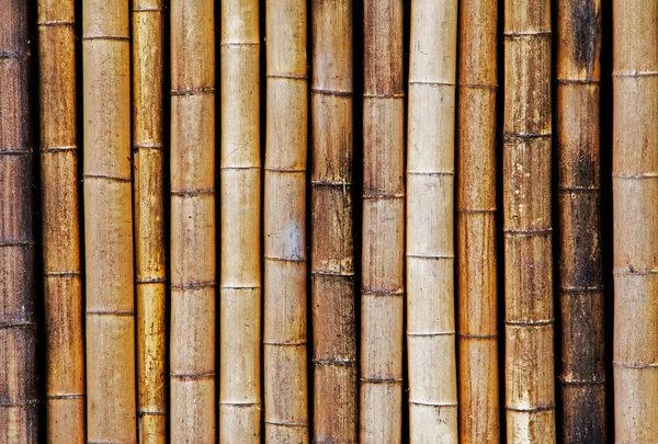 Fundo de cerca de bambu velho e seco — Fotografia de Stock