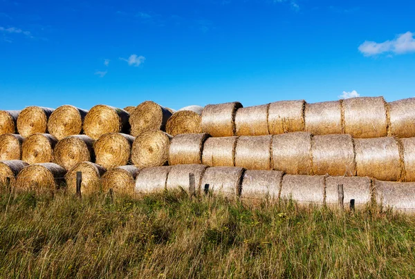 Sheaves of the hay in a field in sunshine — Stock Photo, Image