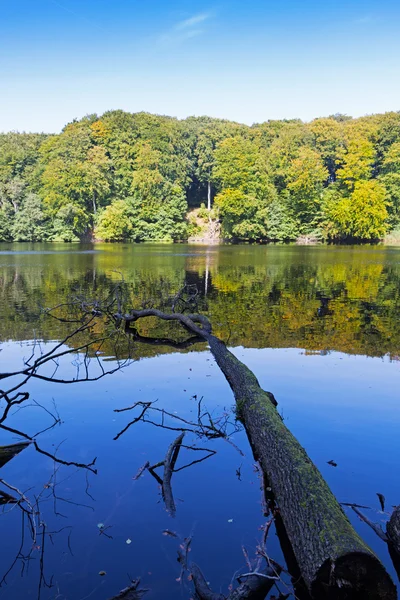 The lake in a forest in sunlight — Stock Photo, Image