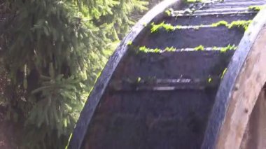 Watermill bir ormandaki ışığında