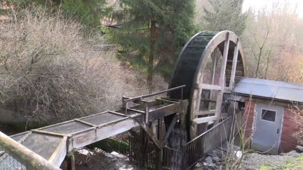 Водяная мельница на ручье в лесу — стоковое видео