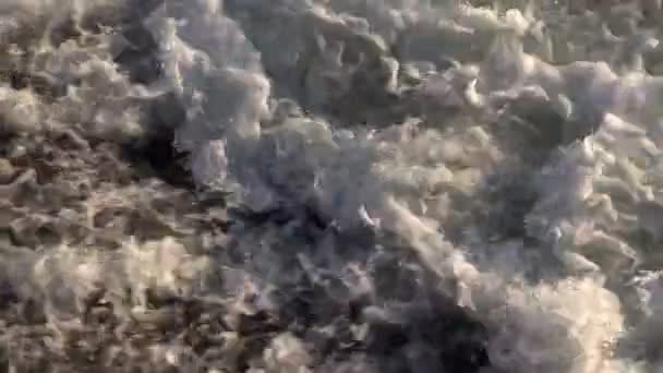 강에 있는 물의 급속 한 흐름 — 비디오