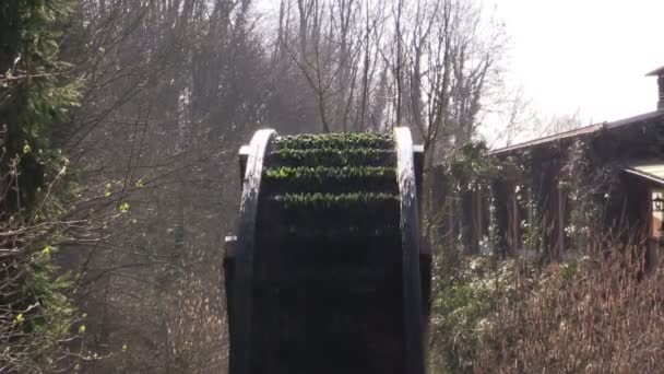 Molino de agua en un arroyo en un bosque — Vídeo de stock