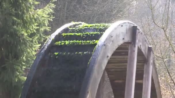 Moinho de água em luz do sol em uma floresta — Vídeo de Stock