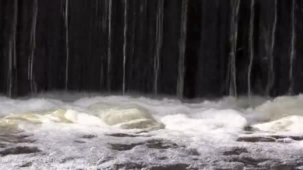Водопад на реке и отражение Древа — стоковое видео