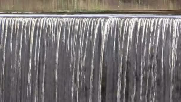 Wasserfall auf dem Fluss und die Spiegelung des Baumes — Stockvideo