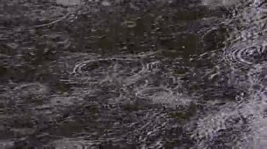 Yağmur damlaları bir su yüzeyinde