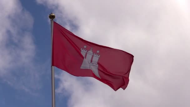 Hamburg flag on tower against  sky — Stock Video