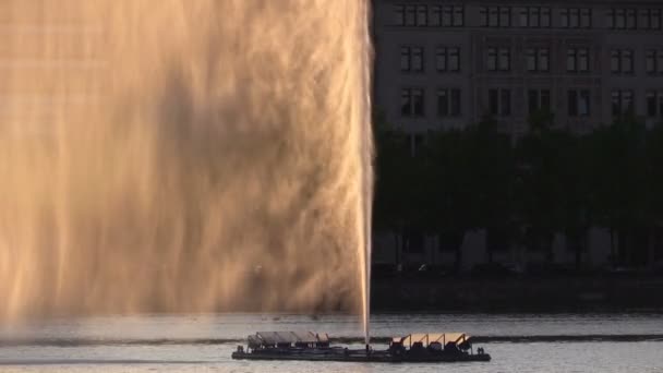 Fountain on a pond in sunlight — Stock Video