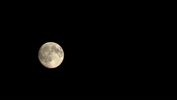 Maan op zwarte nachtelijke hemel en wolken drijvende — Stockvideo