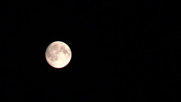 Maan op zwarte nachtelijke hemel en wolken drijvende — Stockvideo