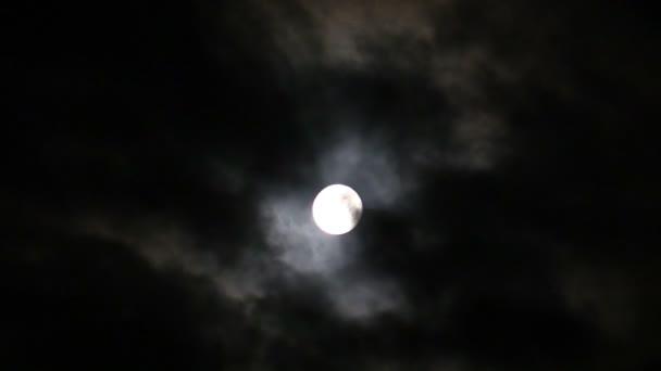 Moon on black night sky and floating clouds — Stock Video