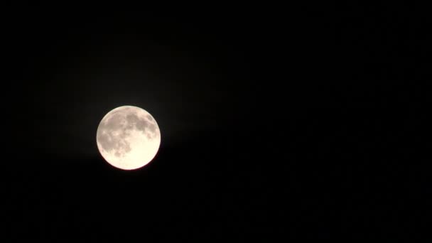Månen på svarta natthimlen och flytande moln — Stockvideo