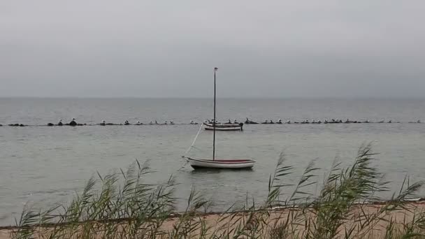 Boot afgemeerd aan de kust — Stockvideo
