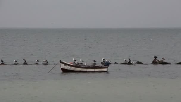 Barco amarrado en la costa — Vídeo de stock