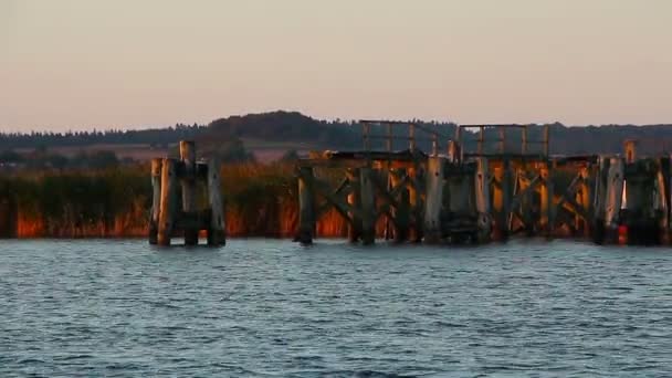 Old wooden pillars on sea — Stock Video