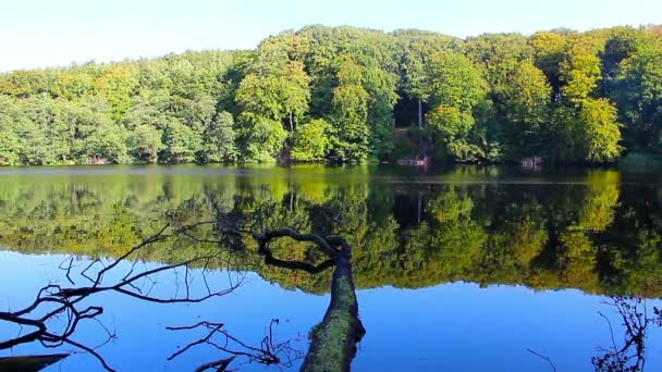 El lago en el bosque bajo el sol — Vídeos de Stock