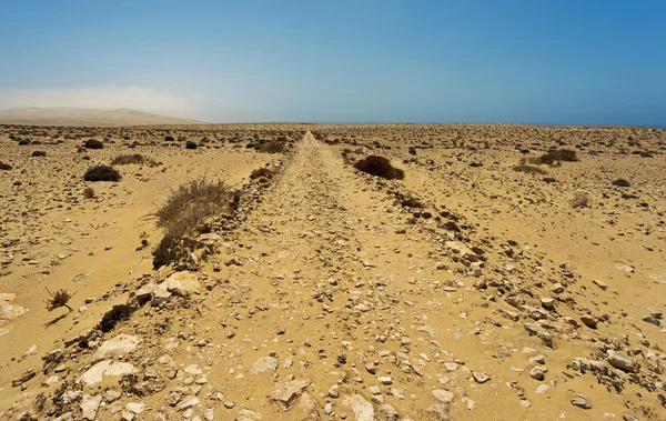 Wüste von fuerteventura im bereich costa calma und istmo de la par — Stockfoto