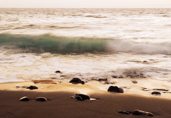 Deniz Fuerteventura üzerinde alan La Pared günbatımında sörf — Stok fotoğraf