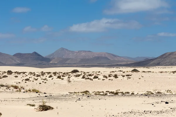 Wüste von Fuerteventura im Gebiet Corallejo — Stockfoto