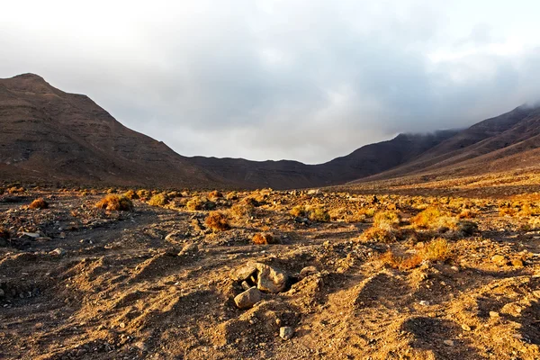 Bergen i Fuerteventura i området Jandia — Stockfoto