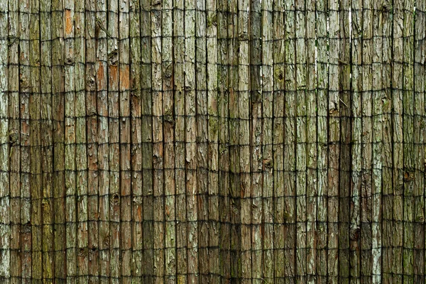 O fundo de madeira coberto de casca de árvore — Fotografia de Stock