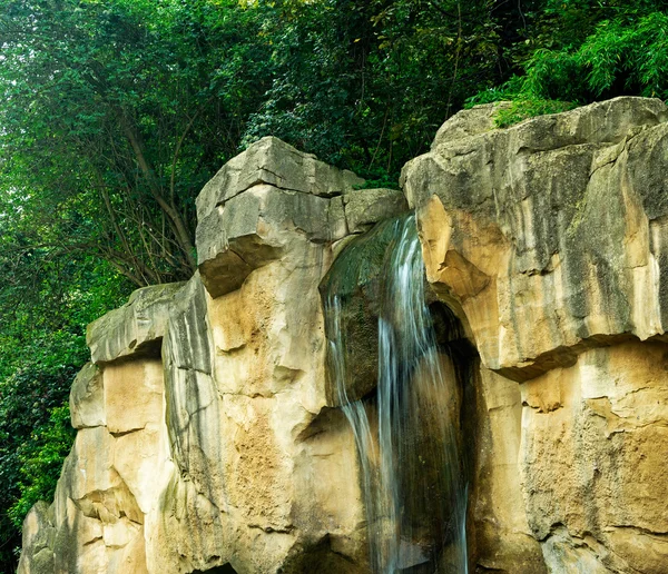 Cascada en el bosque sobre una roca —  Fotos de Stock