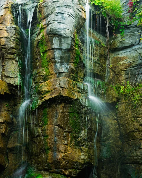 A cachoeira de um penhasco na floresta — Fotografia de Stock