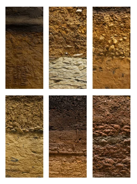 不同类型的土壤地面上一个白色的背景 — 图库照片