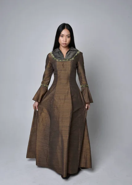 Orta Çağ Fantezi Elbisesi Giymiş Uzun Saçlı Güzel Asyalı Bir — Stok fotoğraf
