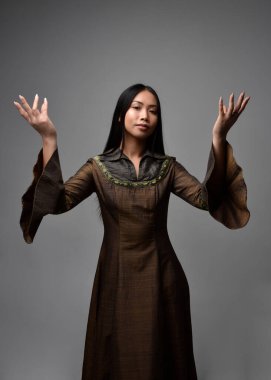 Orta çağ fantezi elbisesi giymiş, uzun saçlı güzel Asyalı bir kadının portresi. Hareketli elleri olan zarif bir poz, stüdyo arka planında izole edilmiş..