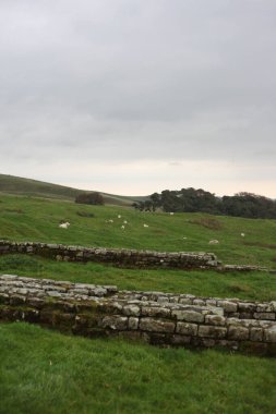Antik Roma İmparatorluğu anıtı Hadrians Duvarı 'nın engebeli İskoç dağlık kırsalındaki sinematik manzarası rüzgarlı bir bozkıra çarpan tarihi bir dönüm noktası.