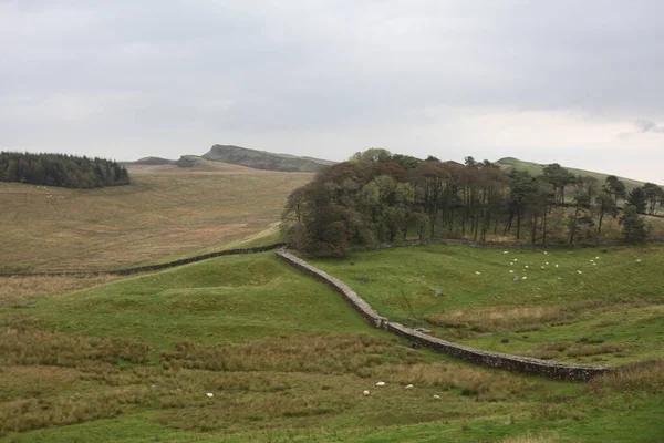 Antik Roma İmparatorluğu anıtı Hadrians Duvarı 'nın engebeli İskoç dağlık kırsalındaki sinematik manzarası rüzgarlı bir bozkıra çarpan tarihi bir dönüm noktası.