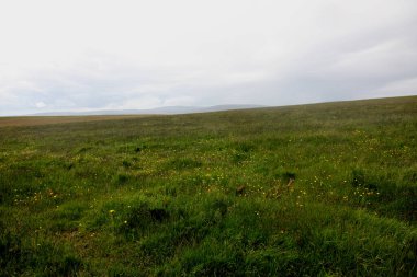 İskoçya 'nın yeşil tepeleri, açık çayırları ve huzurlu ve geniş kırsal alanlar oluşturan yumuşak dağlık alanlar.