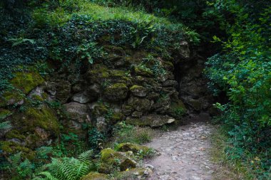 Yeşillik ve dingin büyülü orman manzarasıyla çevrili Fransız kırsalındaki yoğun bir ormanda dolambaçlı bir yol doğa yürüyüşçüleri için huzurlu ve manzaralı bir kaçış sunuyor.