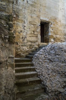 Yeşil balo elbisesi giyen güzel sarışın kadın modelin portresi, peçeli peri masalı tanrıçası kostümü ve kraliyet fantezi tacı. Stüdyonun arka planında izole bir şekilde poz veriyor..