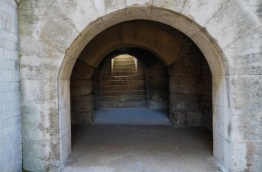 Yeşil balo elbisesi giyen güzel sarışın kadın modelin portresi, peçeli peri masalı tanrıçası kostümü ve kraliyet fantezi tacı. Stüdyonun arka planında izole bir şekilde poz veriyor..