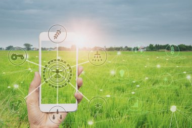 akıllı çiftçi akıllı telefon, pirinç tarlaları üretim kontrolü, tarımsal ürün kontrol teknolojisi, gelecekteki tarım ticareti dünya pazarı, verimlilik, tarım uydusu