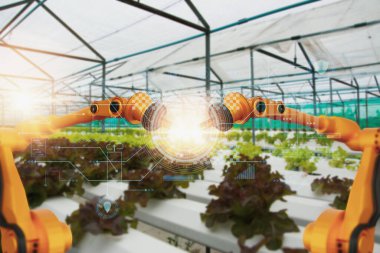 Robot kolu denetimi ve hasat ve izleme operasyonu tarım ürünleri çiftliği, konsept teknoloji tarım endüstrisi 4.0, yapay zeka veya yapay zeka ile