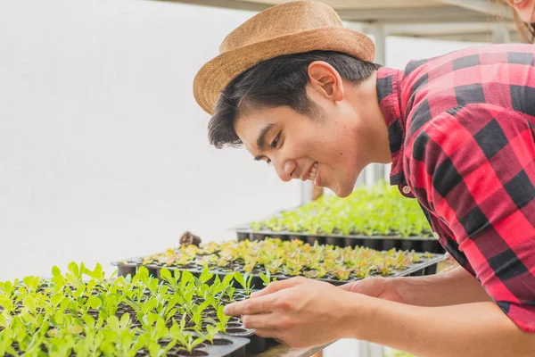 Young smart farmers and entrepreneurs cultivate seedlings and take care of products and fresh vegetables in greenhouses,control by technology,business concept and organic industry,smart agriculture