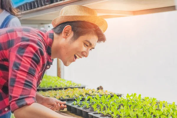 Young smart farmers and entrepreneurs cultivate seedlings and take care of products and fresh vegetables in greenhouses,control by technology,business concept and organic industry,smart agriculture