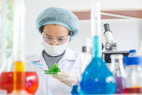 Wissenschaftler Oder Junge Chemikerinnen Testeten Den Grünen Kaviar Vitro Labor — Stockfoto