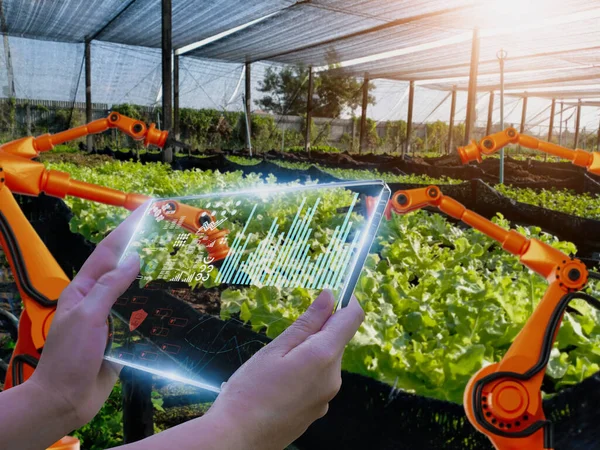 Smart farmer using smart tablet with artificial intelligence or AI technology,system control robot,use robotic arm inspect quality, harvest agricultural product,satellite track technology agriculture