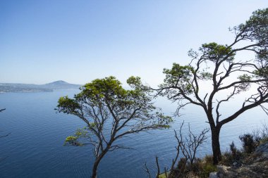Akdeniz manzaralı uçurum manzaralı, mavi gökyüzü Calpe, İspanya 'nın doğal parkında güneşli sıcak yaz günü.