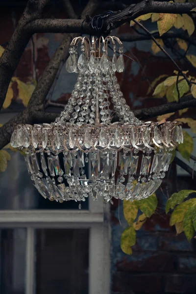 Lámpara Araña Cristal Vintage Colgando Una Rama Árbol Fondo Viejo — Foto de Stock