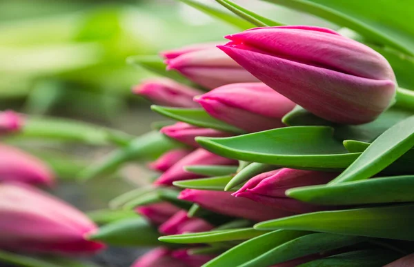 Ramo Tulipanes Rosados Cerca Hermoso Ramo Tulipanes Fondo Naturaleza Paisaje — Foto de Stock